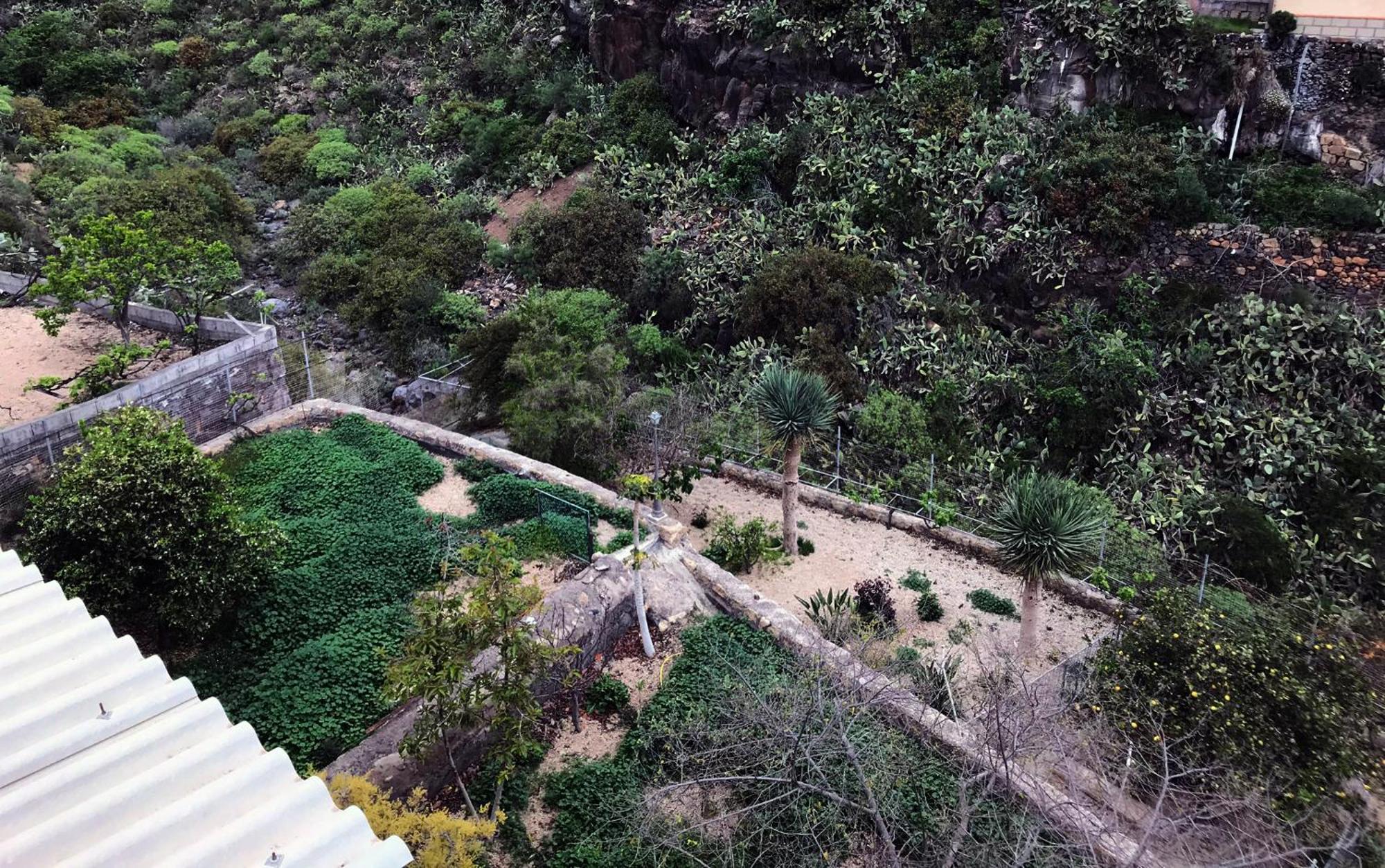 Acogedor Apartamento En San Miguel De Abona Bagian luar foto