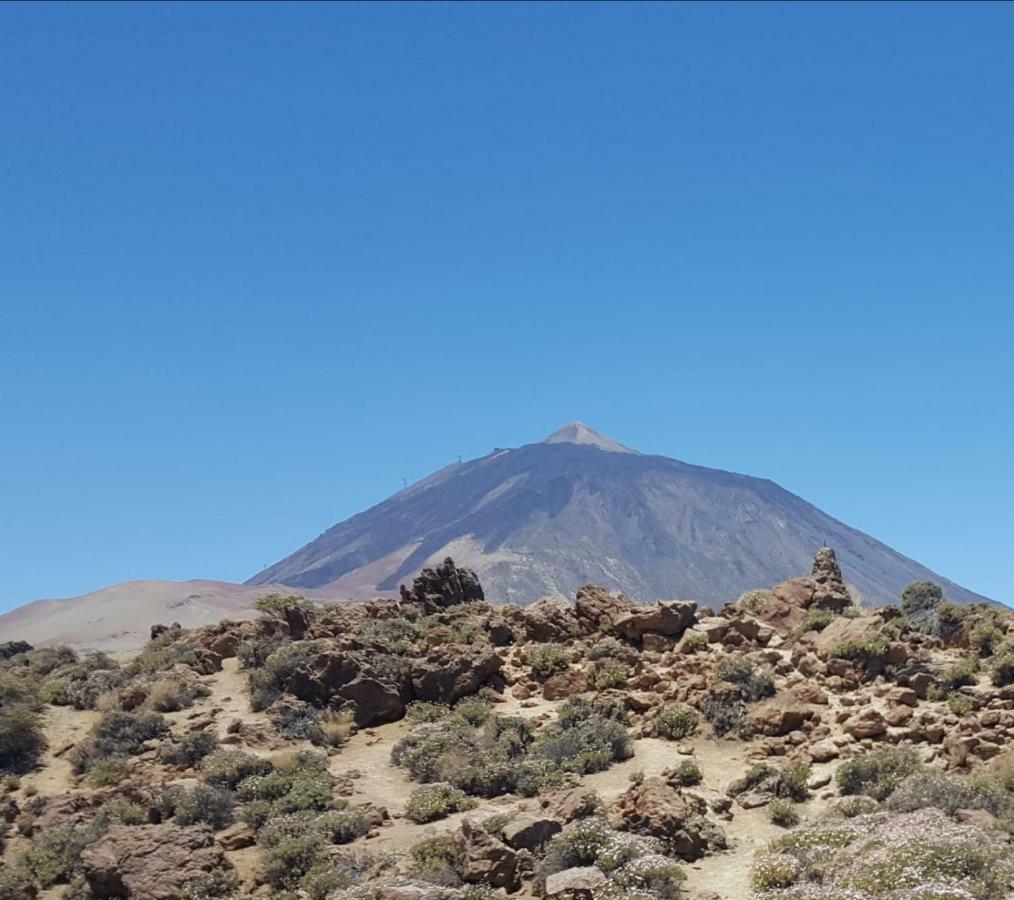 Acogedor Apartamento En San Miguel De Abona Bagian luar foto